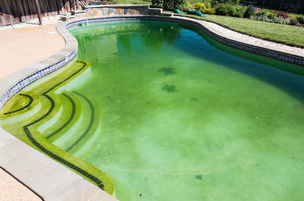 5 Steps to Successfully Cleaning a Green Swimming Pool